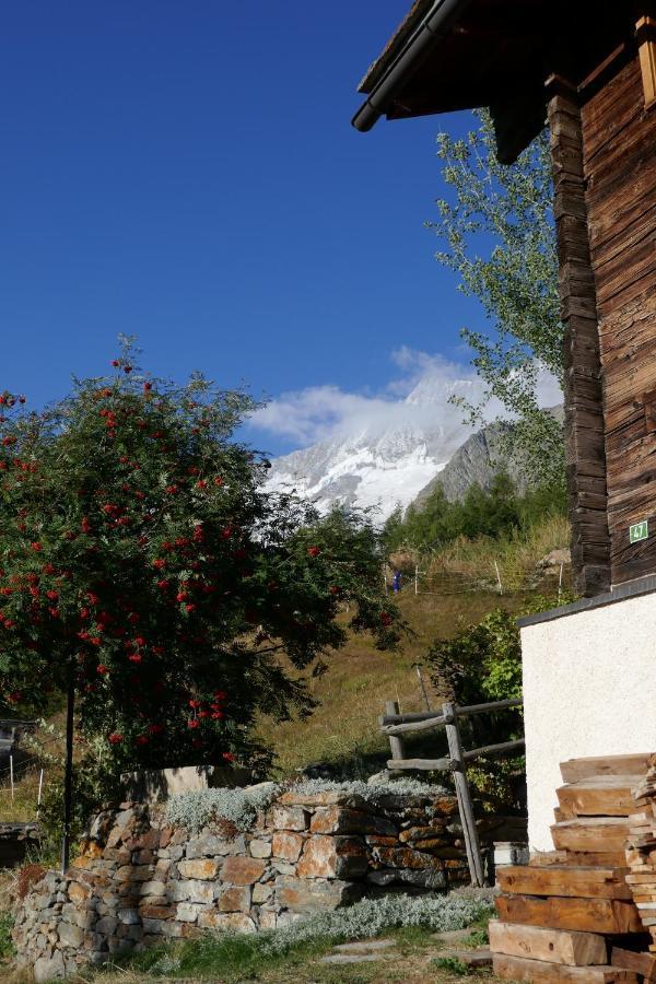 Chalet Birkhahn Saas Fee Kültér fotó