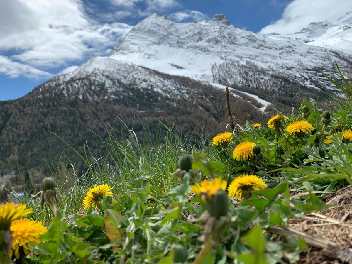 Chalet Birkhahn Saas Fee Kültér fotó
