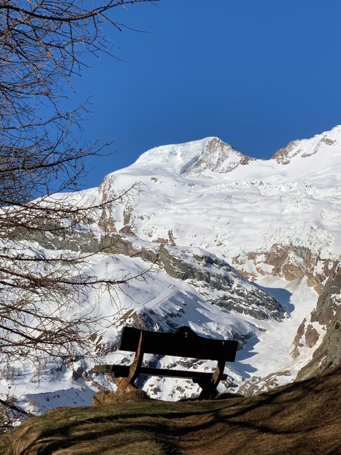 Chalet Birkhahn Saas Fee Kültér fotó