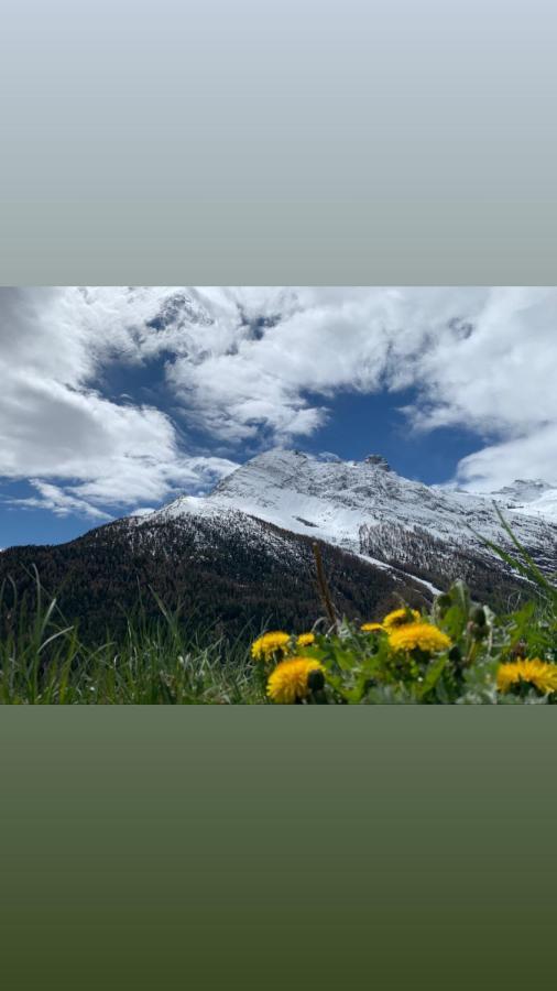 Chalet Birkhahn Saas Fee Kültér fotó