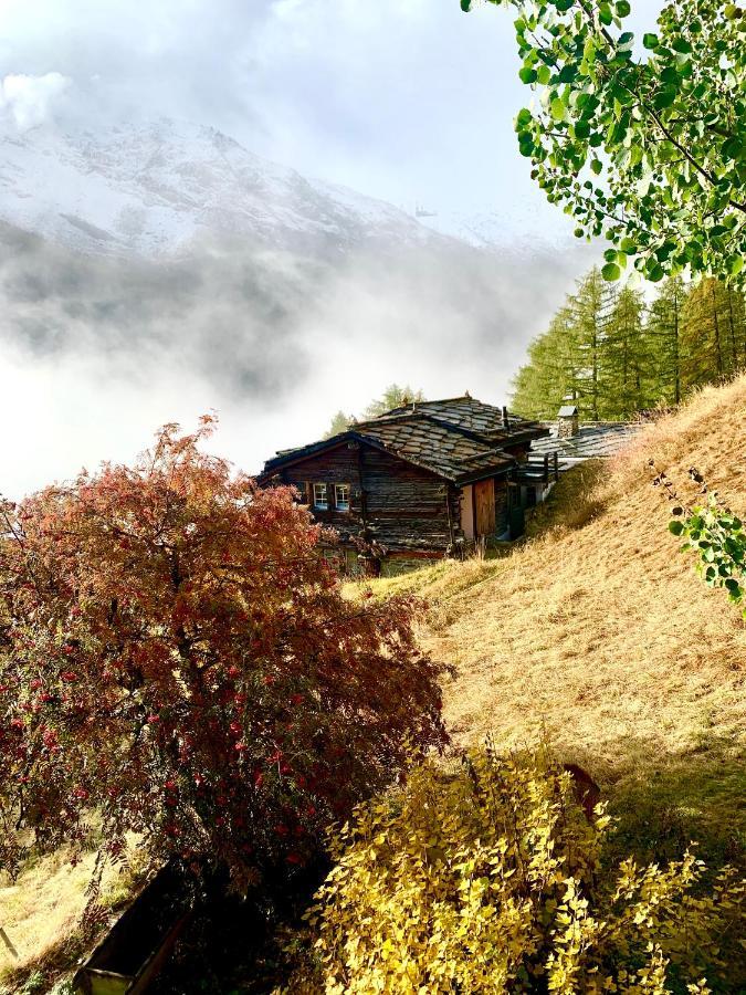 Chalet Birkhahn Saas Fee Kültér fotó