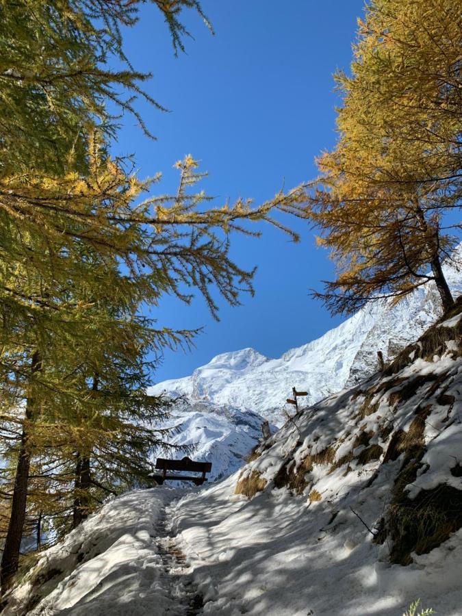 Chalet Birkhahn Saas Fee Kültér fotó