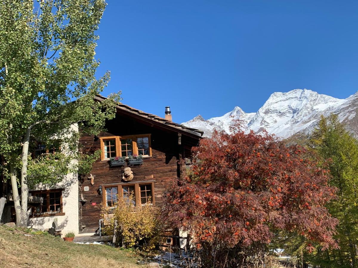 Chalet Birkhahn Saas Fee Kültér fotó