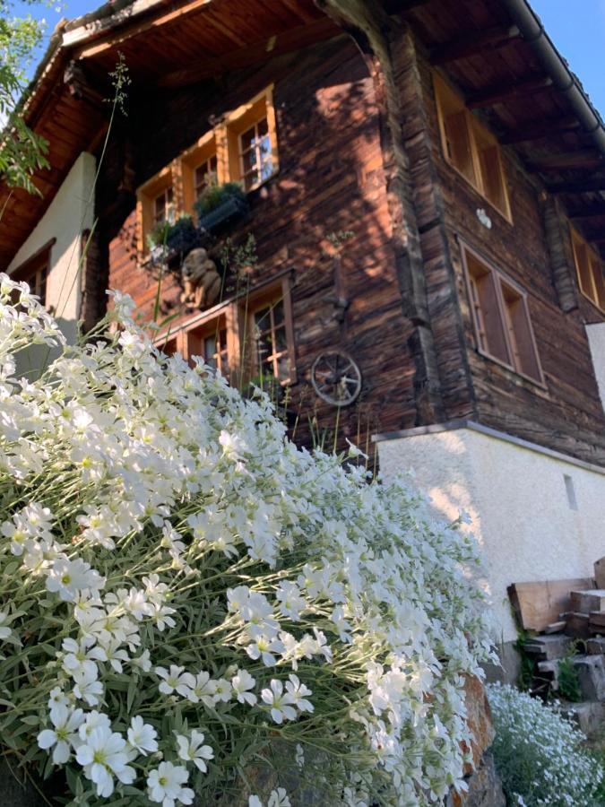 Chalet Birkhahn Saas Fee Kültér fotó