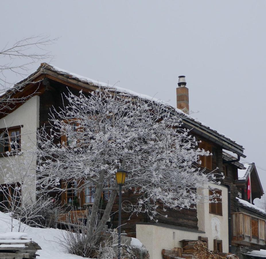 Chalet Birkhahn Saas Fee Kültér fotó