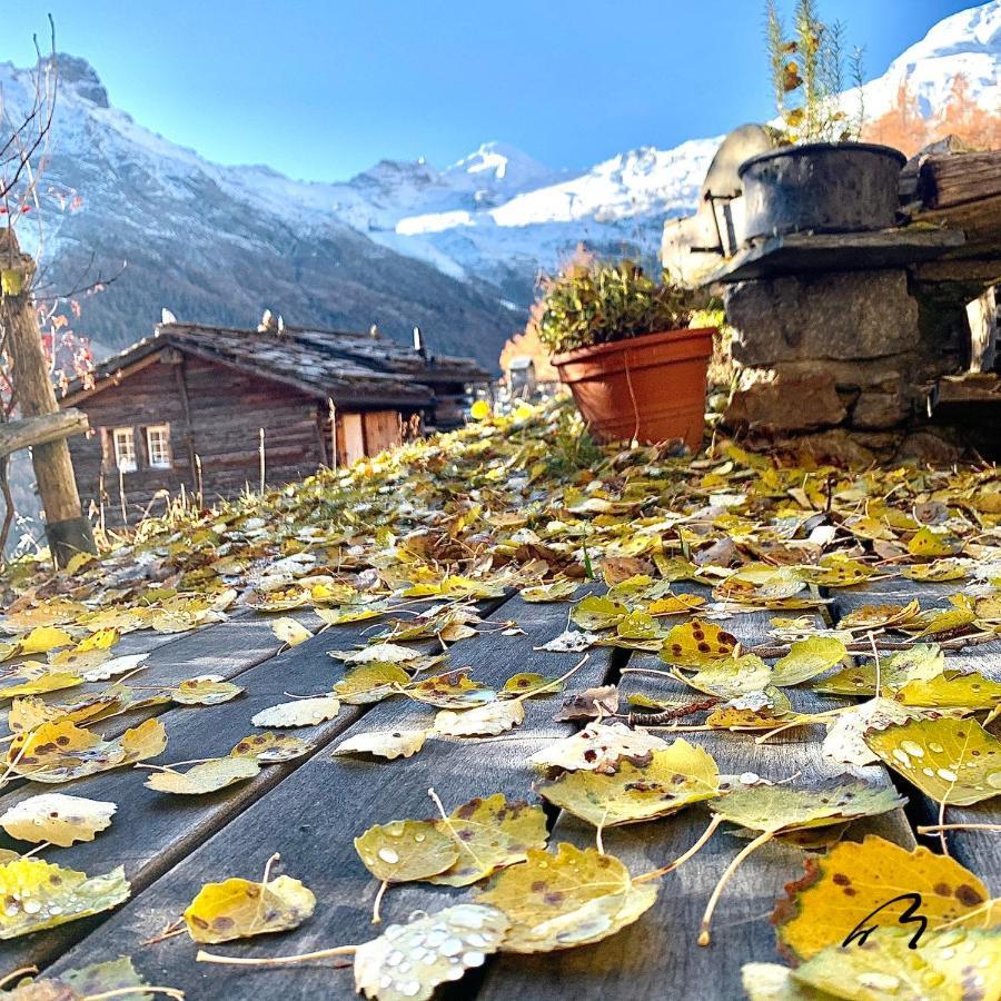Chalet Birkhahn Saas Fee Kültér fotó