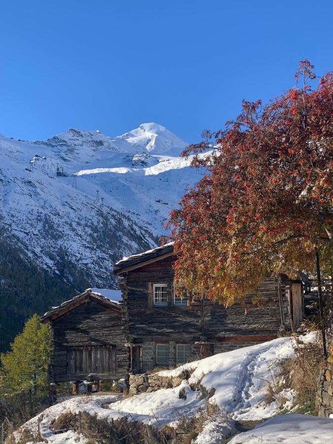 Chalet Birkhahn Saas Fee Kültér fotó